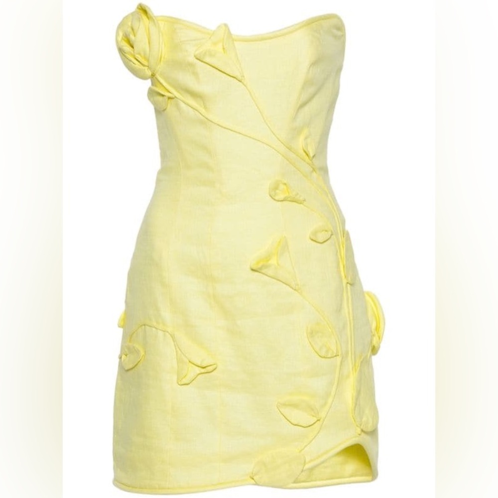 Zimmerman matchmaker rose mini dress